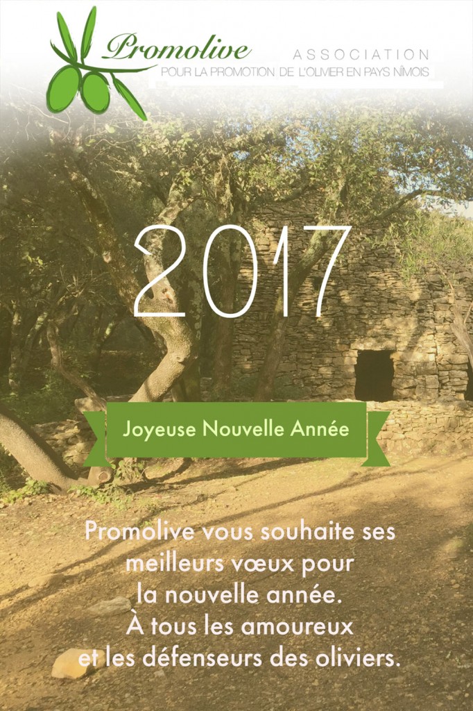 promolive-Voeux2017-web