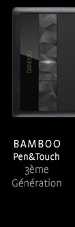bamboo3g