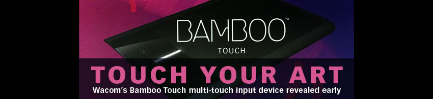 bamboo-touch3