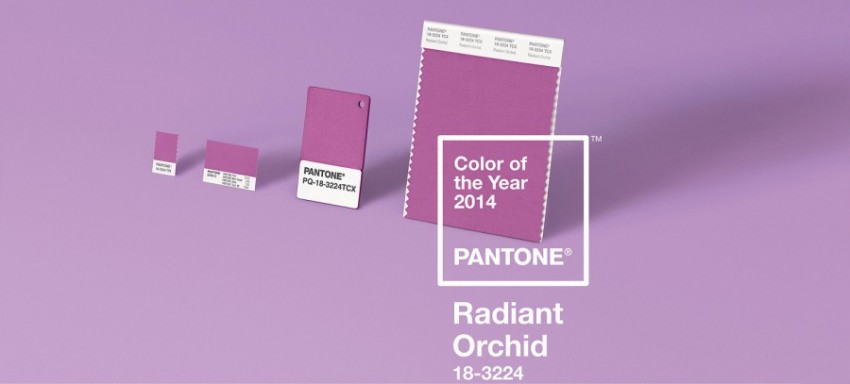 radiant-ochid-couleur-pantone-2014-07-900x407