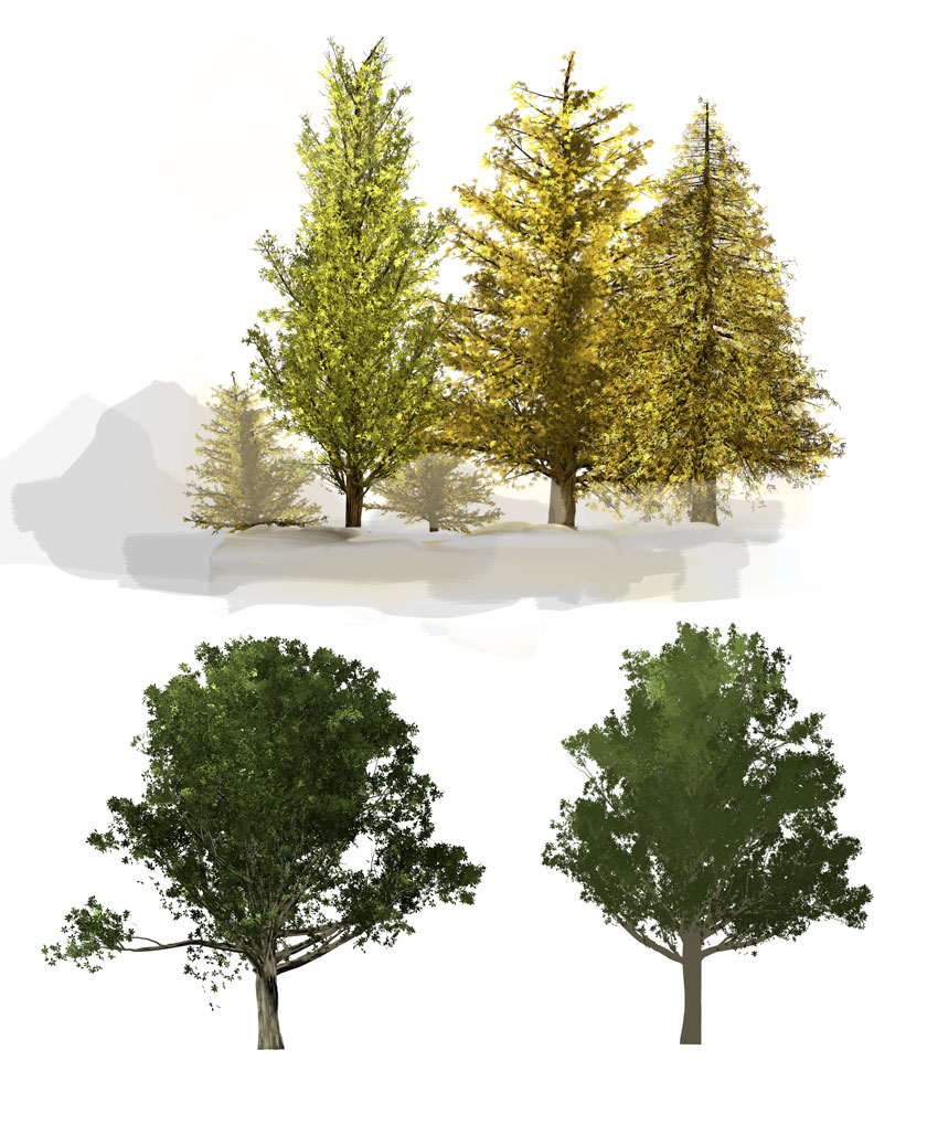 arbres4-cc