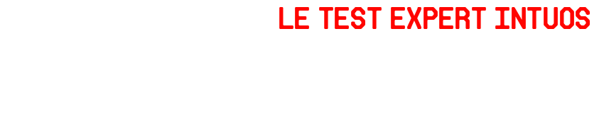 logo-testexpertIntuos