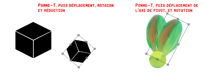 pomme-alt0